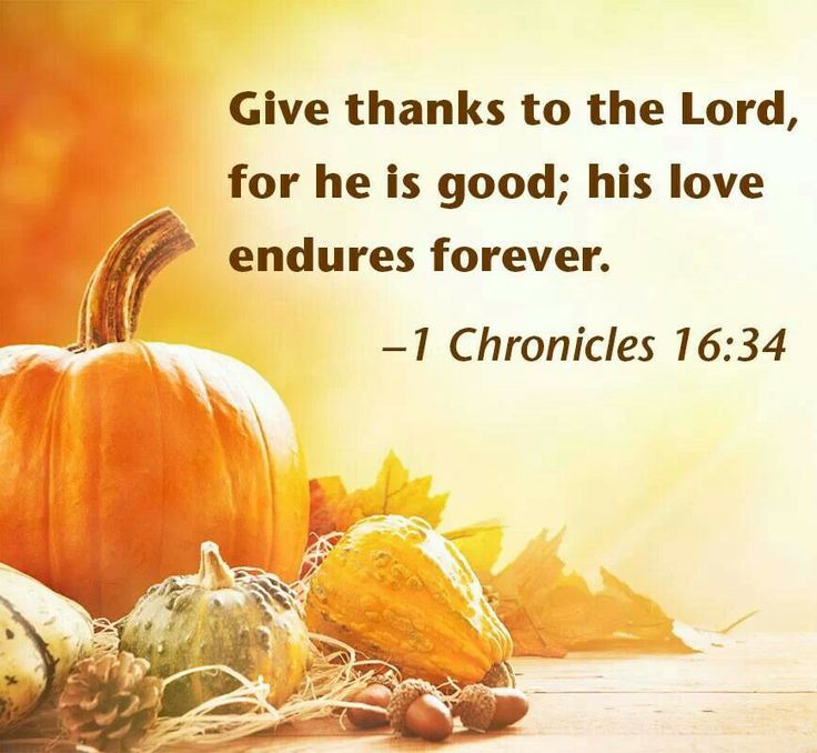 Give thanks to the Lord, for he is good; his love endures forever. -1 Chronicles 16:34