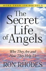 The Secret Life of Angels by Ron Rhodes